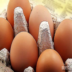 صادرات و واردات مرغ و تخم مرغ بدون افزایش قیمت در بازار داخل