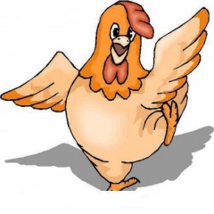 ضرر 1000 تومانی مرغداران در فروش هر کیلوگرم مرغ 