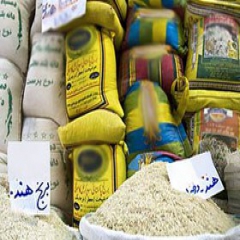 واردات برنج نصف شد/ سه چهارم بازار در دست هندی‌ها