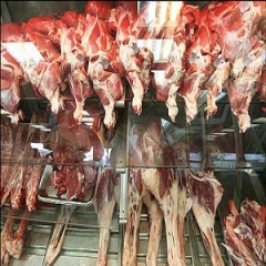 واردات گوشت قرمز از روسیه 
