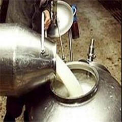 سازمان تعاون روستایی هنوز دستور خرید شیر را صادر نکرده است