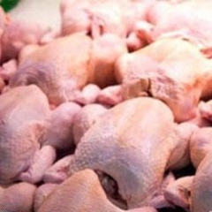 90 هزار تن مرغ منجمد در سردخانه ها موجود است