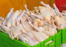 کاهش قیمت مرغ به 5500 تومان و ادامه روند کاهشی 