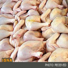 کاهش 26 درصدی میزان تولید گوشت مرغ در خراسان شمالی 