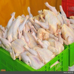 ذخیره سازی 90 هزارتن گوشت مرغ توسط شرکت پشتیبانی امور دام