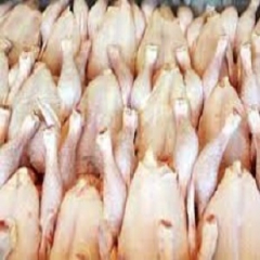 صادرات ماهیانه مرغ به 7 هزار تن رسید 