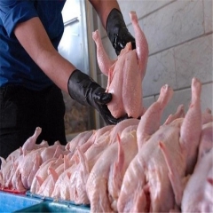 کاهش قیمت ماهی و افزایش قیمت مرغ در بازار