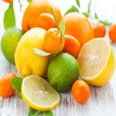 معاون وزیر: واردات انواع میوه و پرتقال ممنوع است