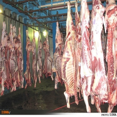 واردات گوشت قرمز منجمد برای تامین نیاز شب عید 