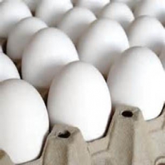صادرات ۱۵ هزار تن تخم مرغ از ۱۶ مهرماه