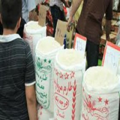 کاهش قیمت ارقام مختلف برنج در هفته‌های آینده
