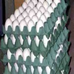 افزایش مجدد صادرات تخم‌مرغ پس از یک ماه/ ۵۶ هزار تن تخم‌مرغ صادر شد