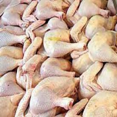 تامین 9 درصد گوشت مرغ کشور در گیلان 