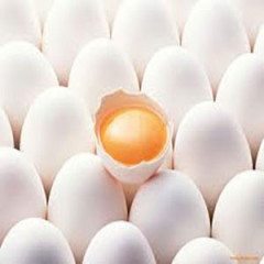 تولید تخم مرغ در آسیا 388 درصد افزایش یافت