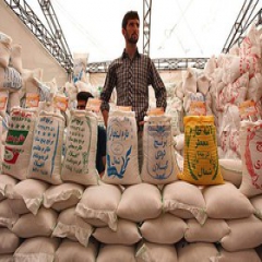 برنج ایرانی امسال بازار آرامی خواهد داشت
