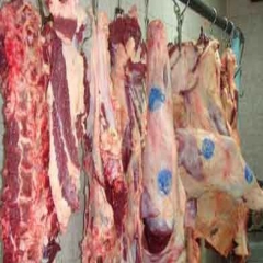 دلالان مقصر گرانی گوشت هستند، نه صادرات