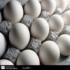 نظارت بر فروش تخم مرغ در سطح خرده فروشی ها ضعیف است