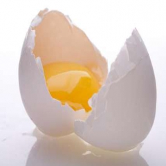 ۲۰۰هزار تن تخم مرغ مازاد تولید داریم/تولیدکنندگان مقصرند نه دولت
