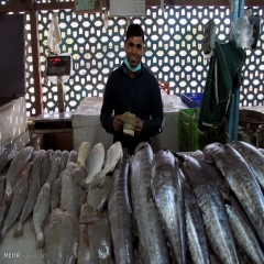 تولید محصولات فرآوری شده ماهیان گرمابی