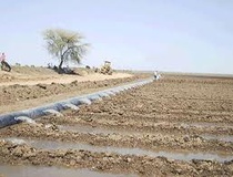 بحران آب در بخش کشاورزی دشت آزادگان
