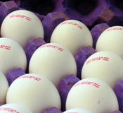 تخم‌مرغ داخلی گران‌تر از صادراتی!