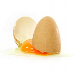 عرضه تخم مرغ بیش از تقاضا/ برنامه ذخیره‌سازی و صادرات مناسب نیست