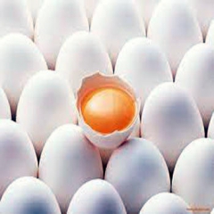 تحصن انجمن صنفی پرورش دهندگان مرغ تخم گذار،در صورت رد درخواست ملاقات با وزیر