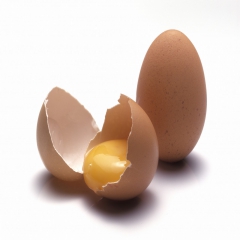 افزایش ۲۵ درصدی قیمت تمام شده تولید تخم‌مرغ با گرانی سوخت