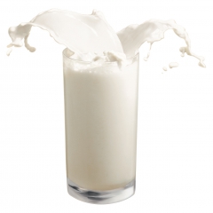 صنایع لنبی بر عدم اجرای مصوبه‌ 1440 تومانی قیمت شیرخام پافشاری می‌کند