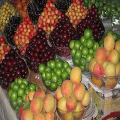 قیمت انواع میوه‌های تابستانی/انبه و آلو در صدر