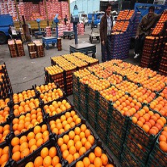 واردات خانمان‌سوز میوه‌های آلوده