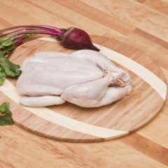 طرح تولید مرغ‌های صادراتی با قیمت کیلویی ۷ هزار تومان
