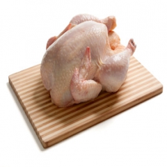 تولیدکنندگان روی هر کیلوگرم مرغ گوشتی 1000 تومان ضرر می دهند/ شرکت پشتیبانی مرغ را به قیمت واقعی نمی خرد