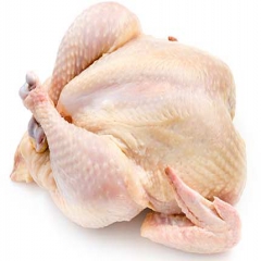 تولید حدود 2 درصد گوشت مرغ جهان در ایران
