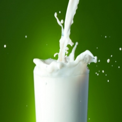 افزایش 23 درصد جذب شیر در ایام تعطیلی برای کمک به دامداران