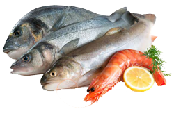 صادرات 260 میلیون دلاری ماهی در سال گذشته